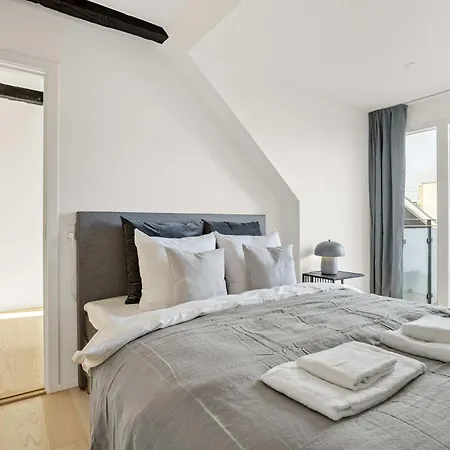 Authentic Midtown Apartman Århus